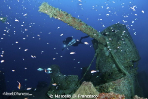 "Bolzaneto" wreck 
Ligurian Sea  fm - 45  to - 60
Levan... by Marcello Di Francesco 